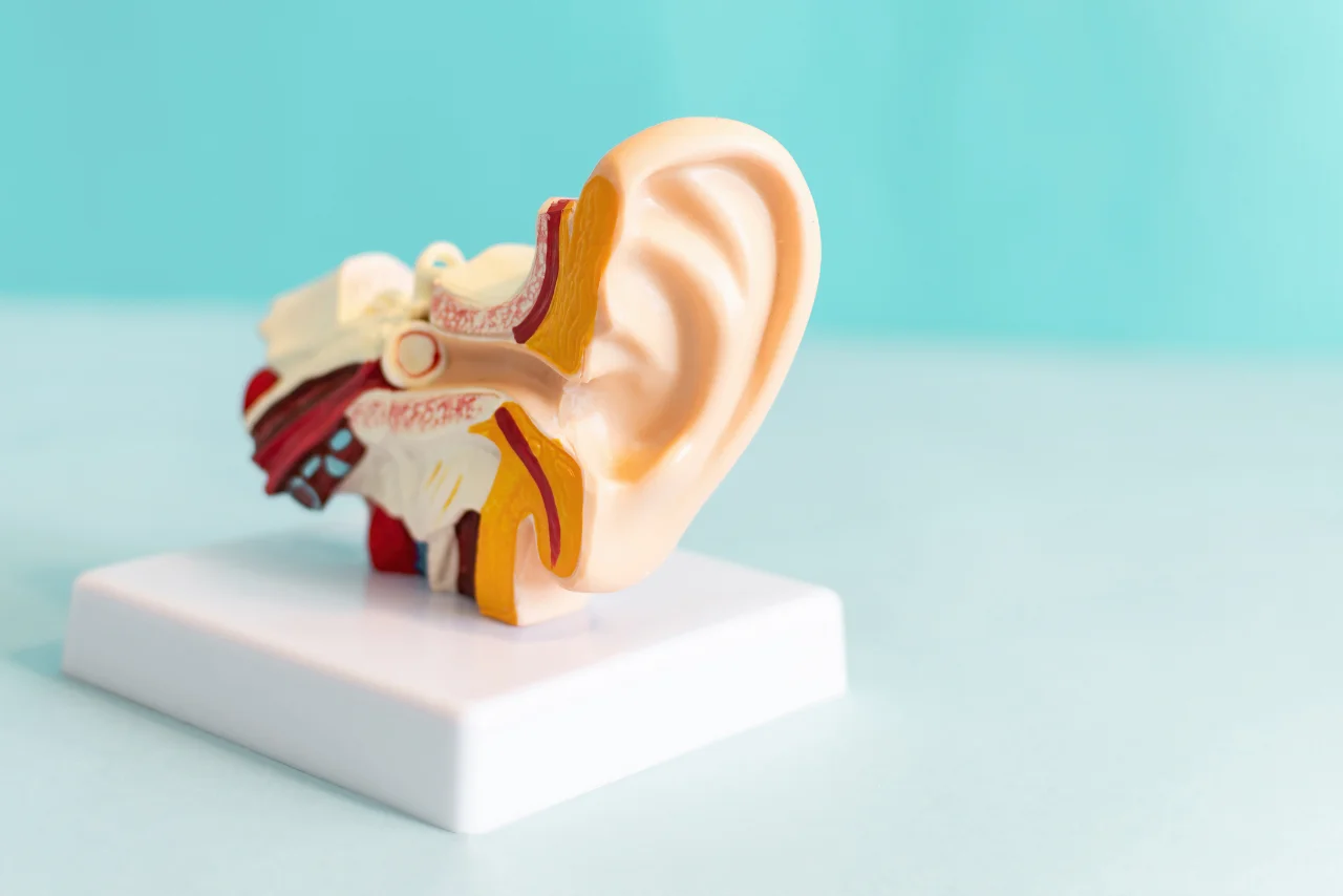 duyma-olayi-nasil-gerceklesir